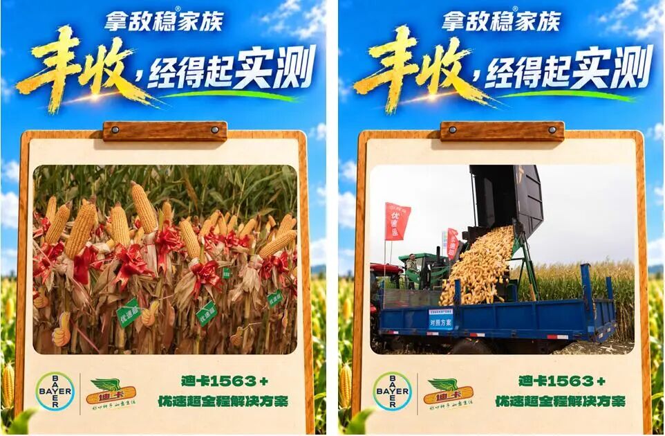 15年深耕，1.38亿亩次——拜耳拿敌稳®家族再交丰收答卷