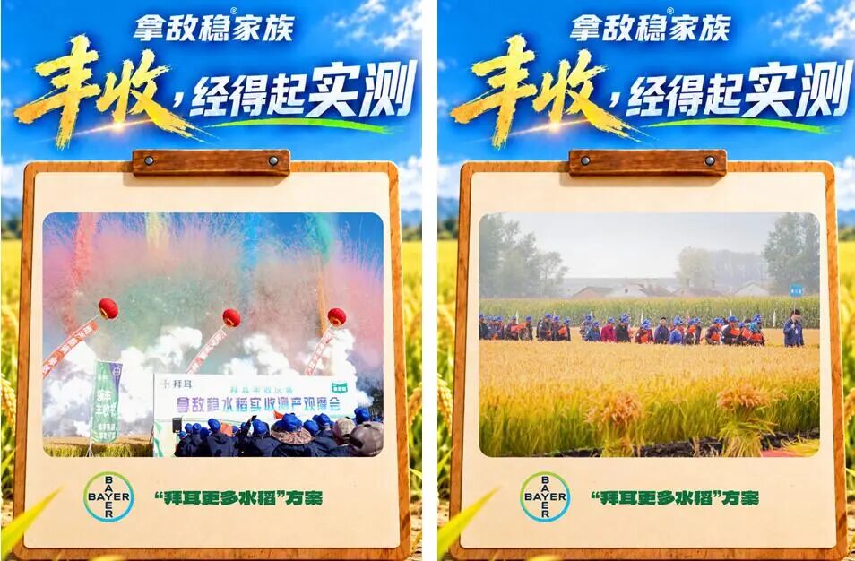 15年深耕，1.38亿亩次——拜耳拿敌稳®家族再交丰收答卷