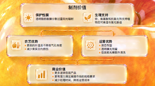 制剂制胜:让科研落地为市场优势 | 一款作物″防晒霜″,撬动鲜果品质与市场差异化