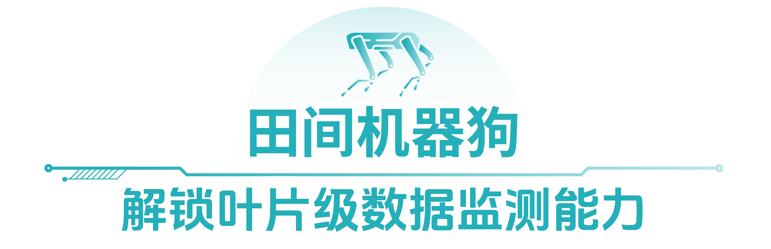 微信图片_2026-10-13_202139_842.png 先正达集团加速将AI技术引入田间管理与种子研发