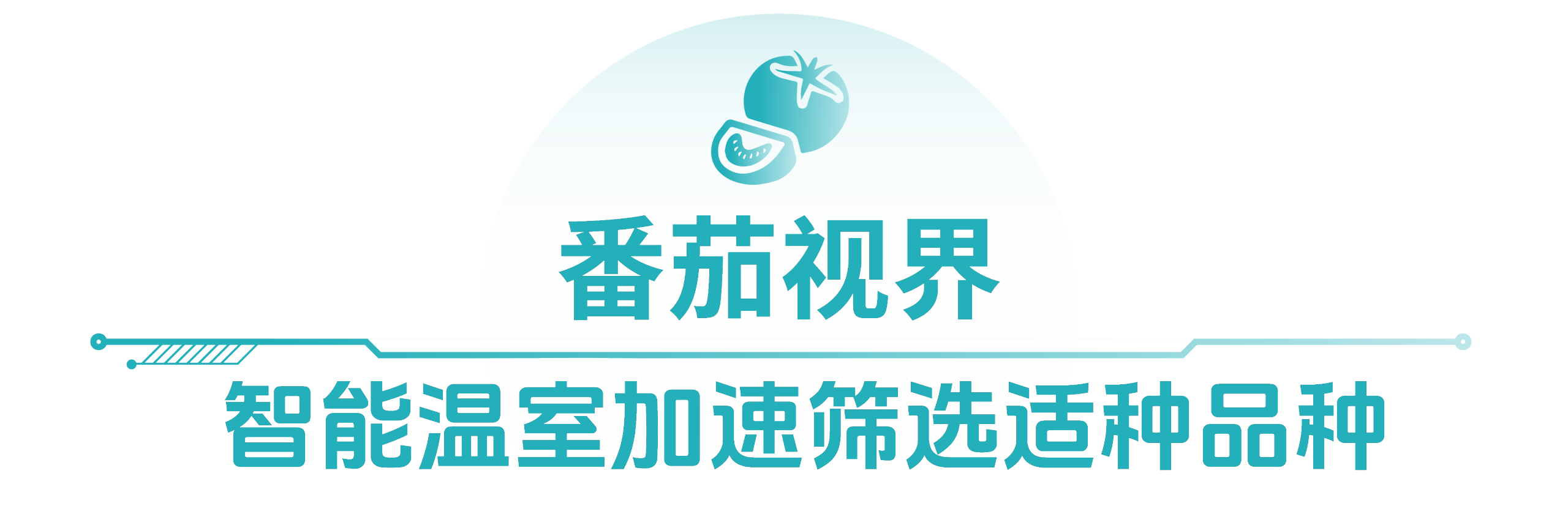 微信图片_2026-10-13_202143_018.png 先正达集团加速将AI技术引入田间管理与种子研发