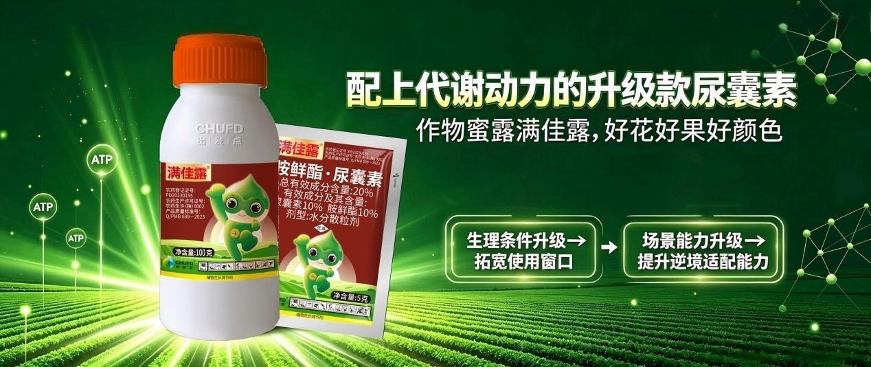 微信图片_2026-10-14_123151_934.png 满佳露 | 配上代谢动力的升级款尿囊素,从低温短板到逆境优势