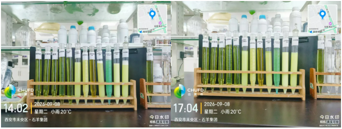 满佳露 | 配上代谢动力的升级款尿囊素,从低温短板到逆境优势