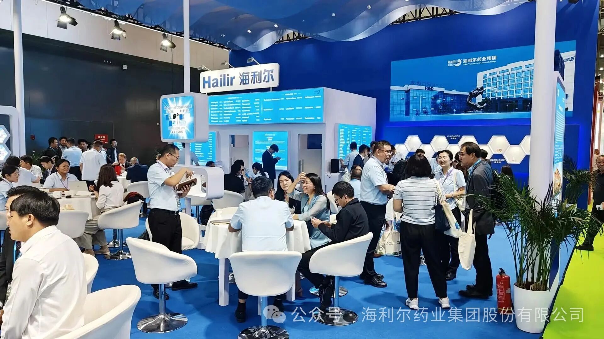 海利尔ACE洽谈正酣，H1-1A07精彩继续