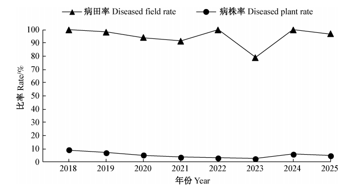 中国小麦茎基腐病发生流行概况及其综合防治对策