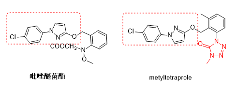住友化学将metyltetraprole杀菌剂推向海外，首站巴拉圭