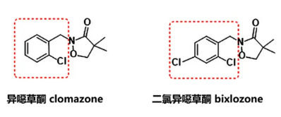 二氯异噁草酮：一个早已被富美实写入专利的化合物，30多年后才走向商业化