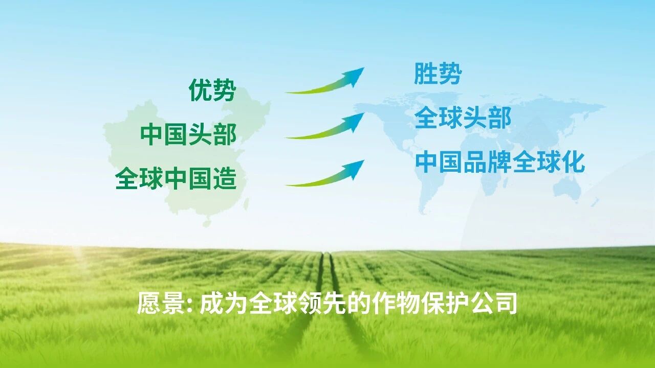 润丰股份发布前三季度业绩：营收稳健增长，EBITDA +25.79%，新获证800余项