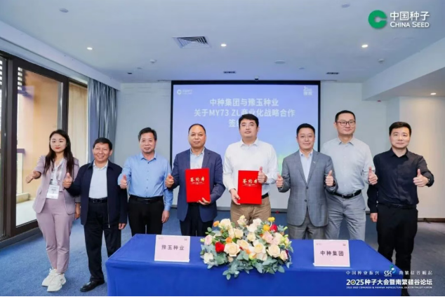 先正达中国性状商业化样本：威睿ZL性状融合优势品种，黄金粮MY73ZL多场景实收检验赋能价值