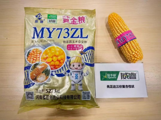 先正达中国性状商业化样本：威睿ZL性状融合优势品种，黄金粮MY73ZL多场景实收检验赋能价值