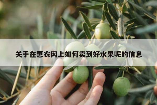 关于在惠农网上如何卖到好水果呢的信息